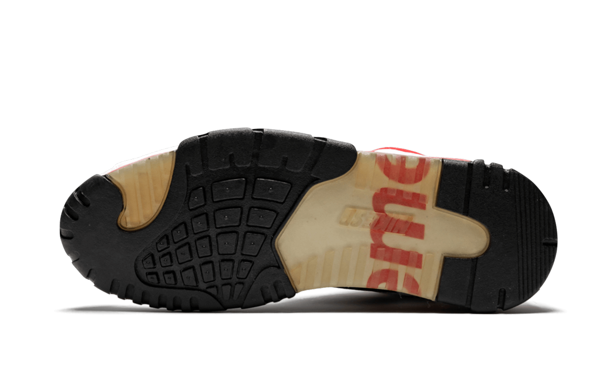 Air Trainer 2 SB "Supreme (2007)"