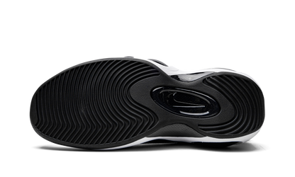 Air Zoom Flight 95 "Photo Blue" DM0524 100