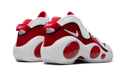Air Zoom Flight 95 "True Red" DX1165 100