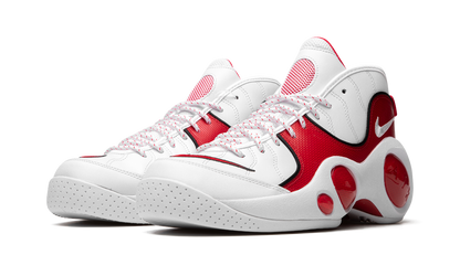 Air Zoom Flight 95 "True Red" DX1165 100
