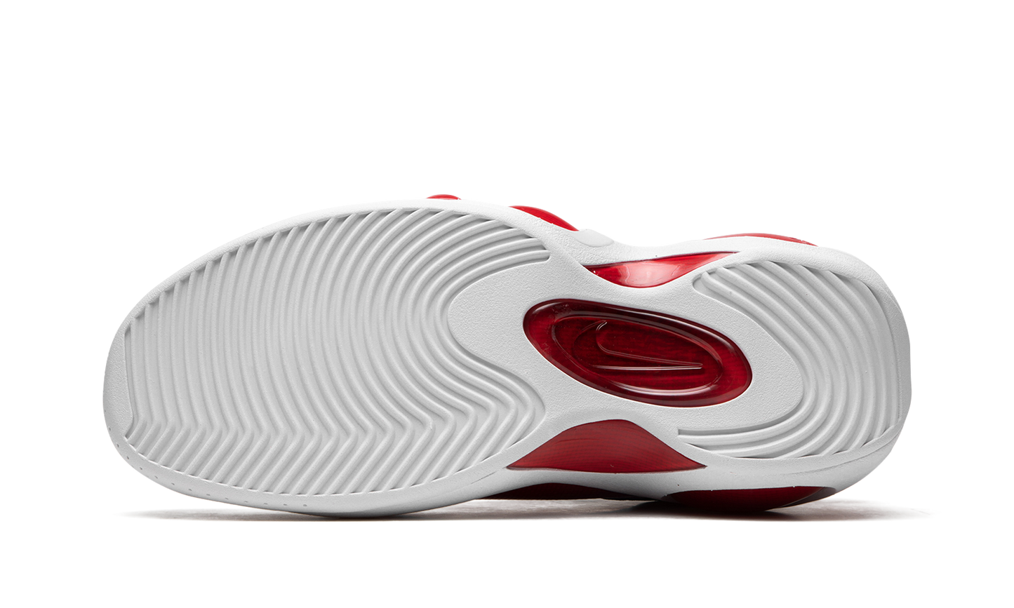 Air Zoom Flight 95 "True Red" DX1165 100