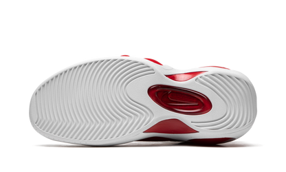 Air Zoom Flight 95 "True Red" DX1165 100