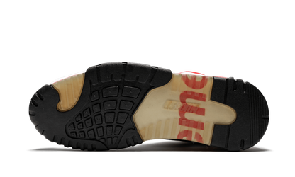 Air Trainer 2 SB "Supreme (2007)"