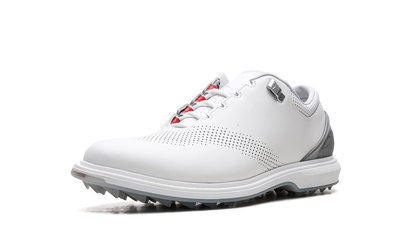 Air Jordan ADG 4 GOLF "WHITE PURE PLATINUM" DM0103 105